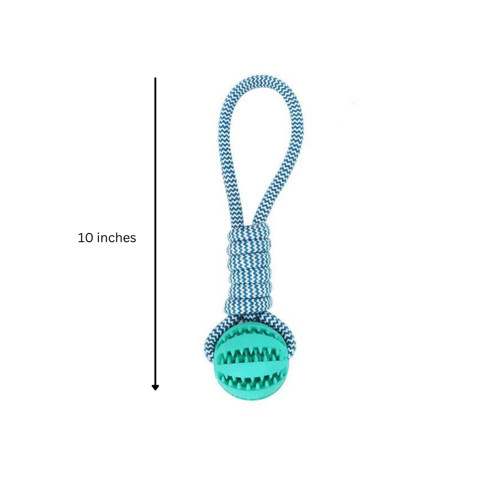 Fast Shipping 3-Pack Squeaky Toothbrush & Cotton Rope Ball Dog Toys