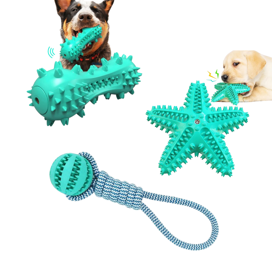 Fast Shipping 3-Pack Squeaky Toothbrush & Cotton Rope Ball Dog Toys
