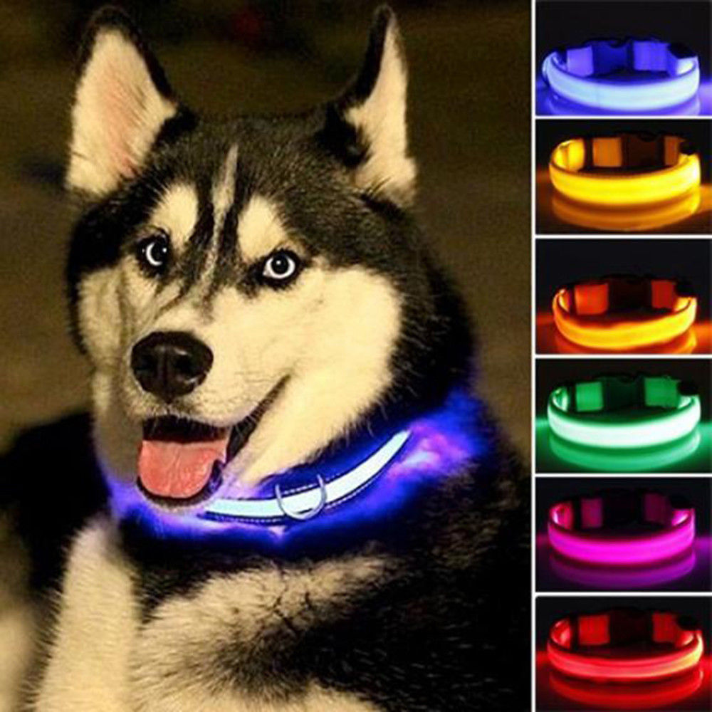 2-Piece Nylon LED Dog Collar Set – Glow in the Dark Safety Collar