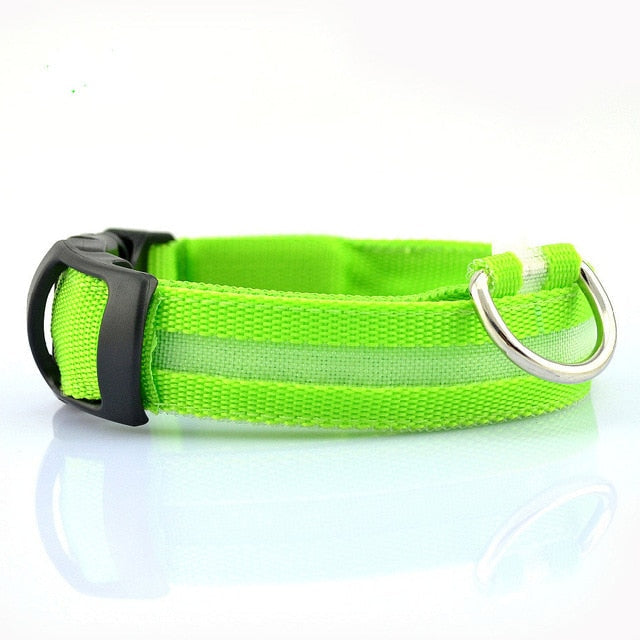 2-Piece Nylon LED Dog Collar Set – Glow in the Dark Safety Collar