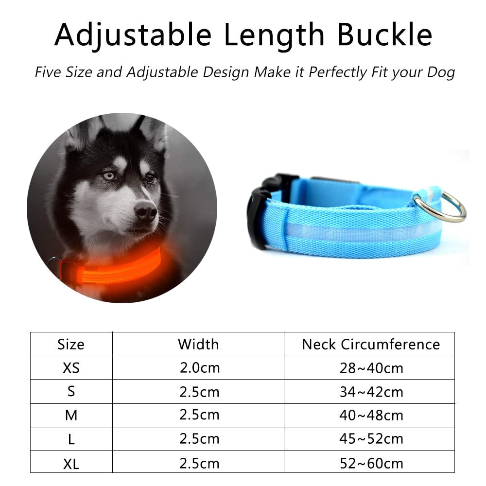 2-Piece Nylon LED Dog Collar Set – Glow in the Dark Safety Collar